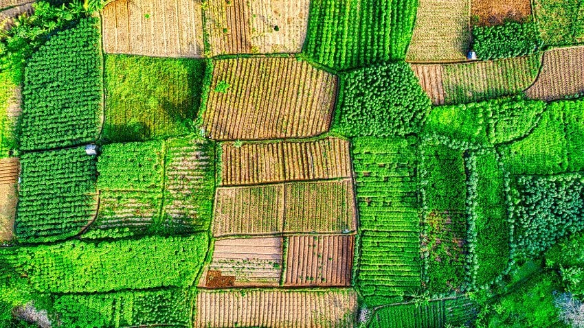 Adding land to your portfolio may be an excellent way to hedge against the volatility of conventional assets