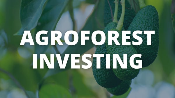 Agroforestry Investing