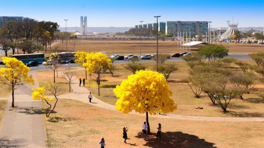 Modernist, safe, and affordable, Brasília blends visionary design with low crime and solid healthcare. A unique inland lifestyle with space, order, and calm
