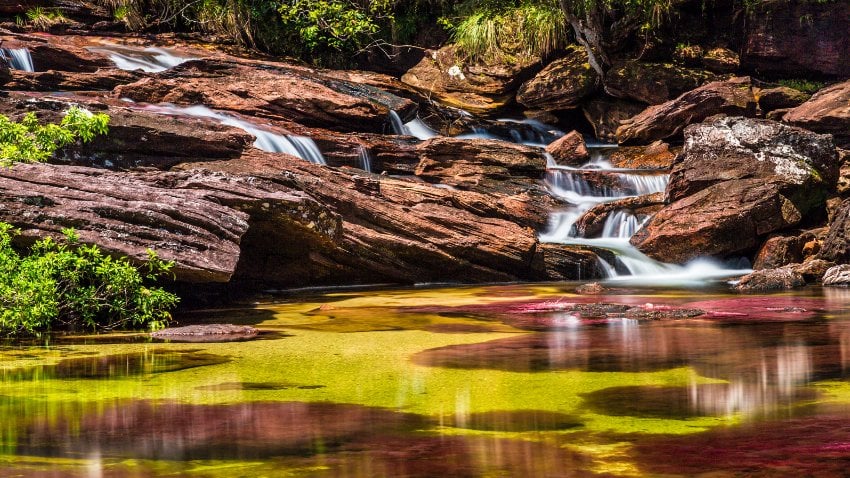 Caño Cristales (Crystal River) in Colombia - The climate in Colombia varies from tropical beach towns to temperate highlands, ensuring that there's a perfect spot for everyone