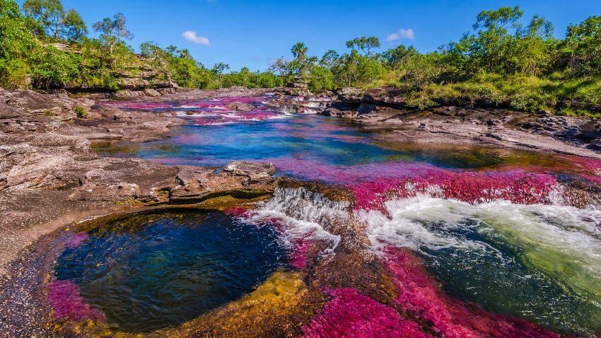 Caño Cristales, o vibrante "Rio das Cinco Cores" da Colômbia, é uma visita obrigatória para os amantes da natureza, acessível apenas por meio de passeios guiados para proteger seu ecossistema único