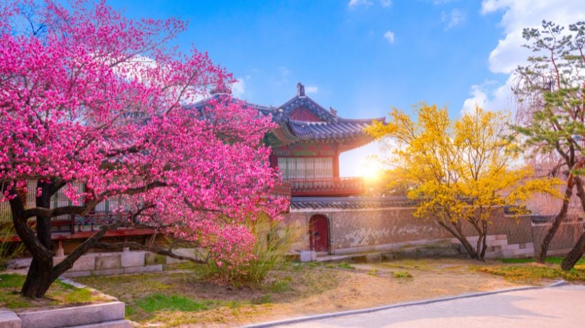 Palacio Changdeokgung, Seúl, Corea del Sur