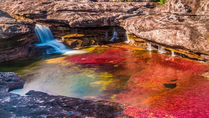 Crystal river, Colombia - Its vibrant colours emerge between June and November, making it a temporary show. The dry season means average for this river, as its water is crystal clear, but the wet season turns it into a colourful miracle.