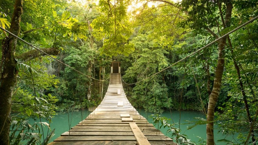 Debido a su incomparable belleza natural, Belice se ha convertido en un destino para expatriados que buscan explorar y experimentar la naturaleza