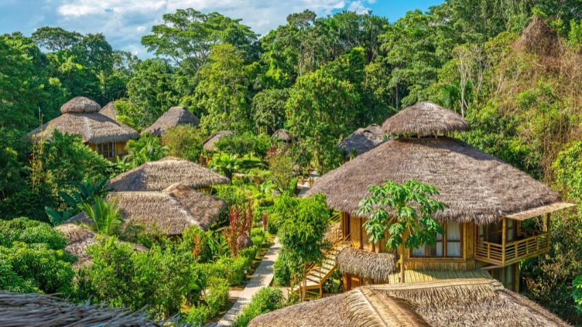 Ecuador’s Amazon region is one of the most biodiverse areas on the planet, and Yasuni National Park stands at its heart