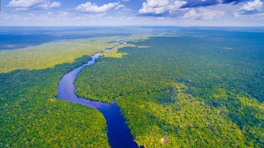 For those who love adventure, a trip to the Amazon Rainforest is a must