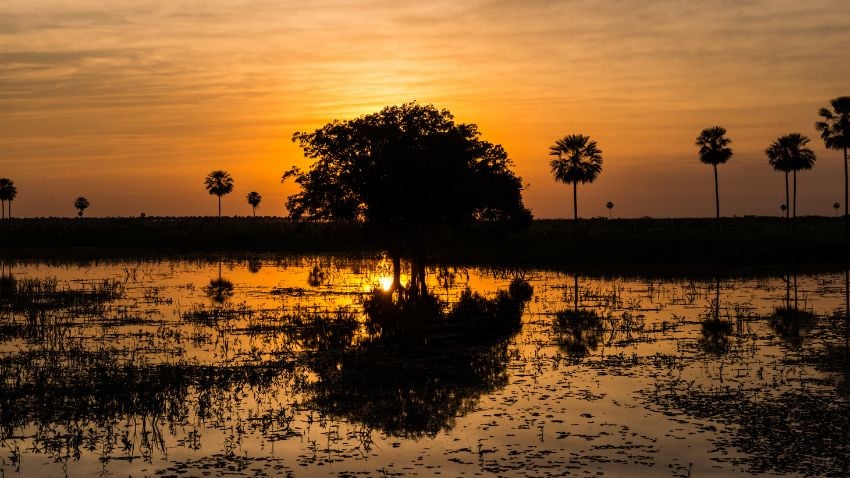 Pôr do sol dourado mágico nas zonas úmidas do Pantanal no Paraguai
