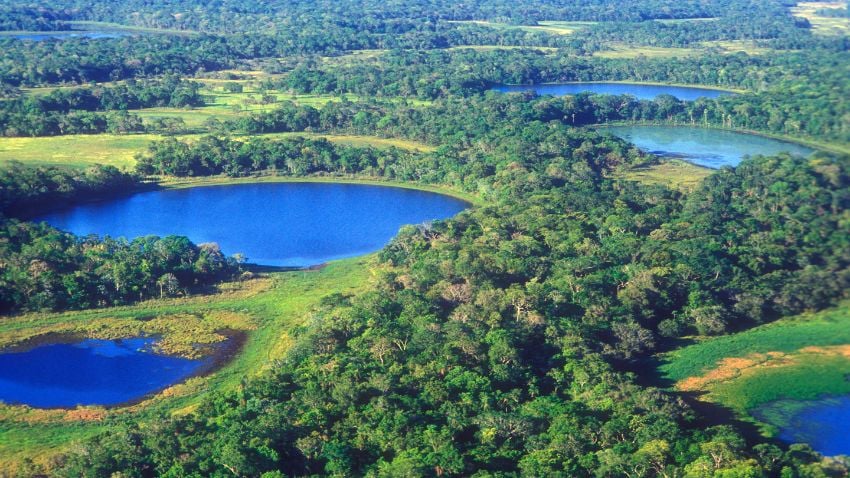 El Pantanal de Brasil está ubicado entre dos estados que ofrecen una alta calidad de vida; perfecto para los expatriados que disfrutan del ecoturismo