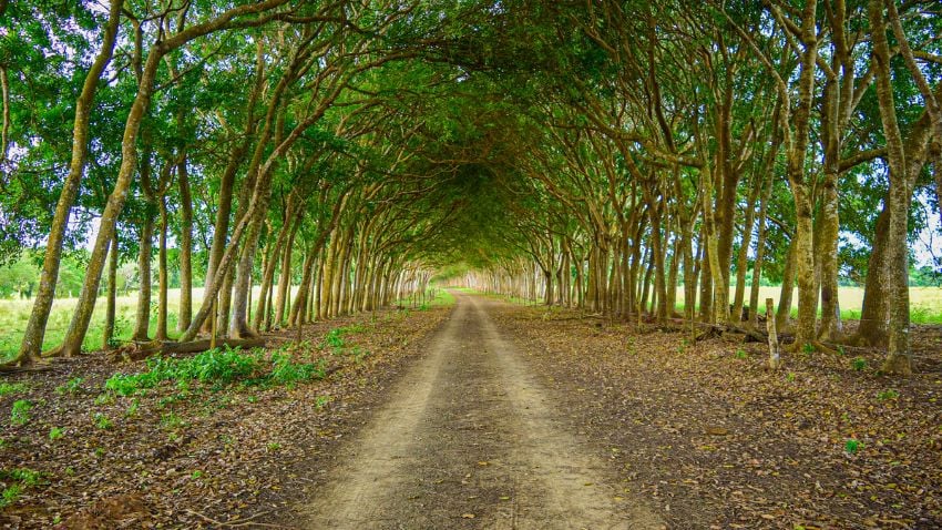 8 Best Cities For Expats In Panama