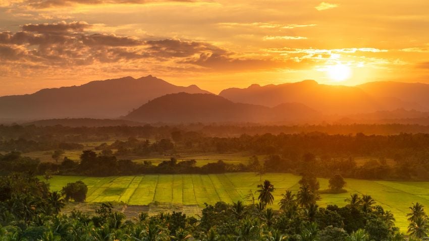 Sri Lanka tiene muchas bellezas naturales que puedes disfrutar con tu visa de nómada digital