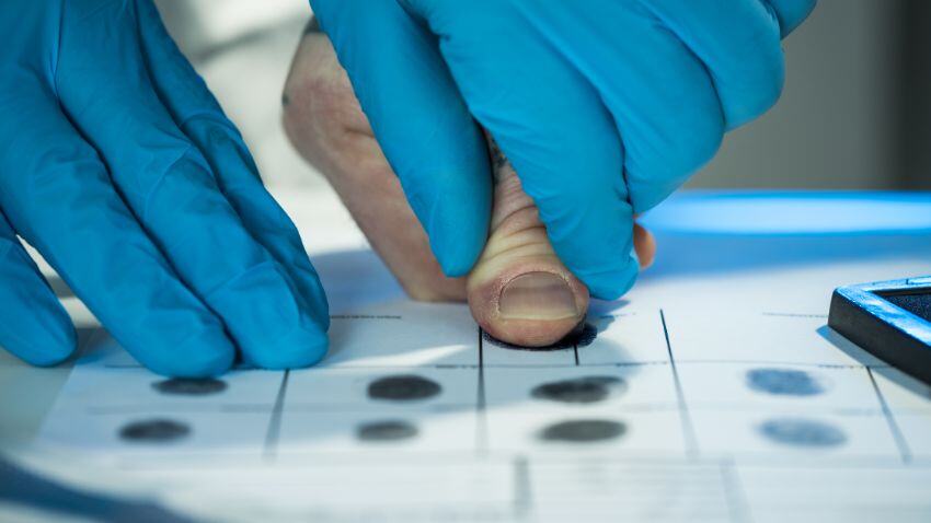 How To Easily Obtain Your Criminal Record Check From The United States