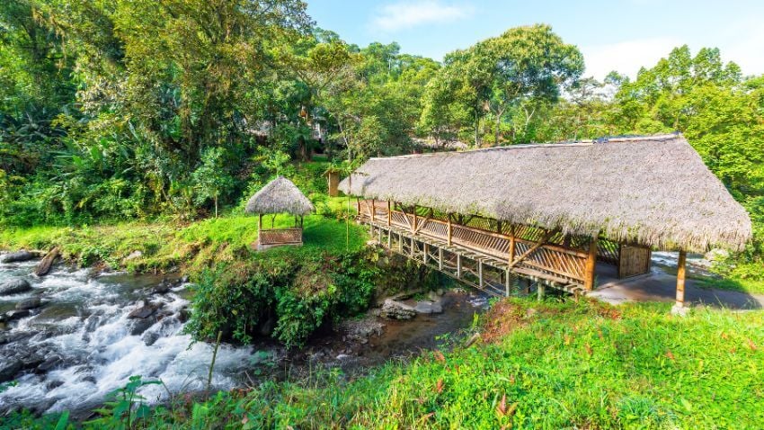 Mindo Cloud Forest in Ecuador, near Quito, is a lush, misty haven rich in birdlife. Famous for hummingbirds, it also offers butterfly farms, chocolate tours, and ziplining through forest canopies