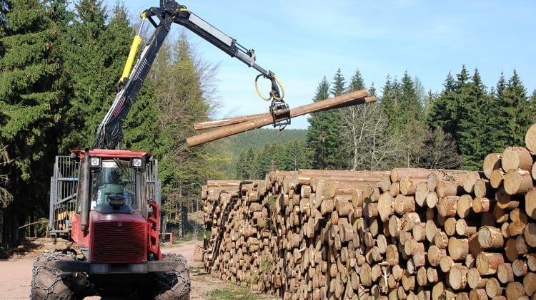 You may be eligible to roll over your 401(k) into an SDIRA and invest in forestry. Solo 401(k)s, job changes, and special cases can unlock offshore opportunities