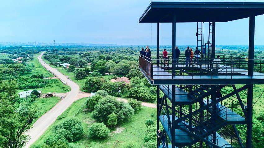 Las especies predominantes cultivadas en Paraguay son el eucalipto y el pino, los cuales ofrecen un potencial sustancial de rentabilidad debido a su rápido crecimiento