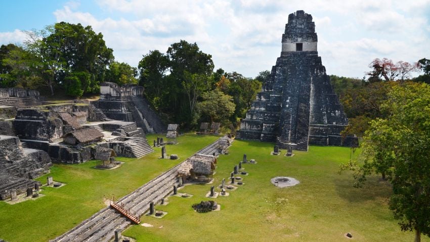 Jaguar Tikal