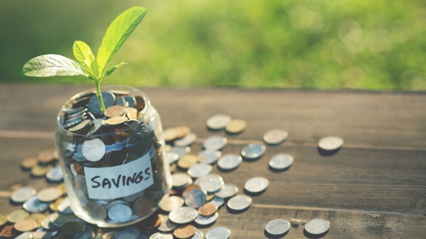 Turning Timber Into Wealth: Investing In Forestry With Your 401(k)