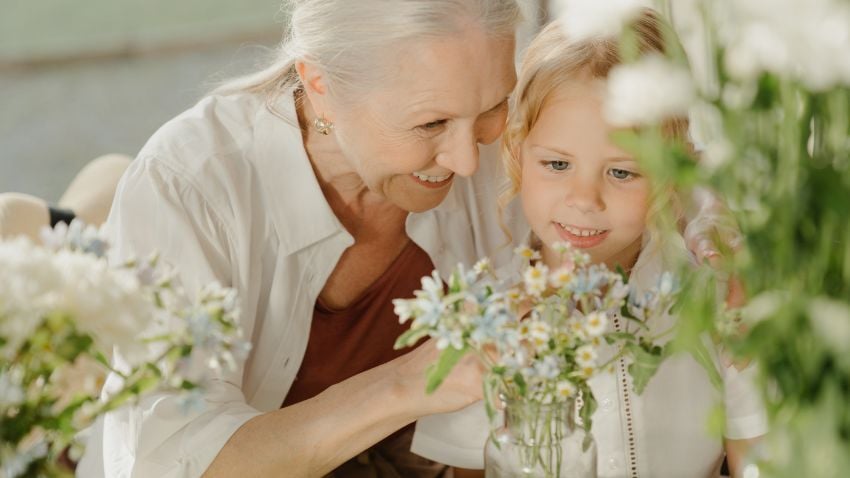 Wealth becomes legacy when clarity, structure, and purpose guide each generation