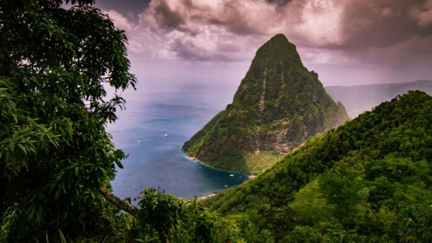 When establishing business in St. Lucia expats gain access to regional and international markets