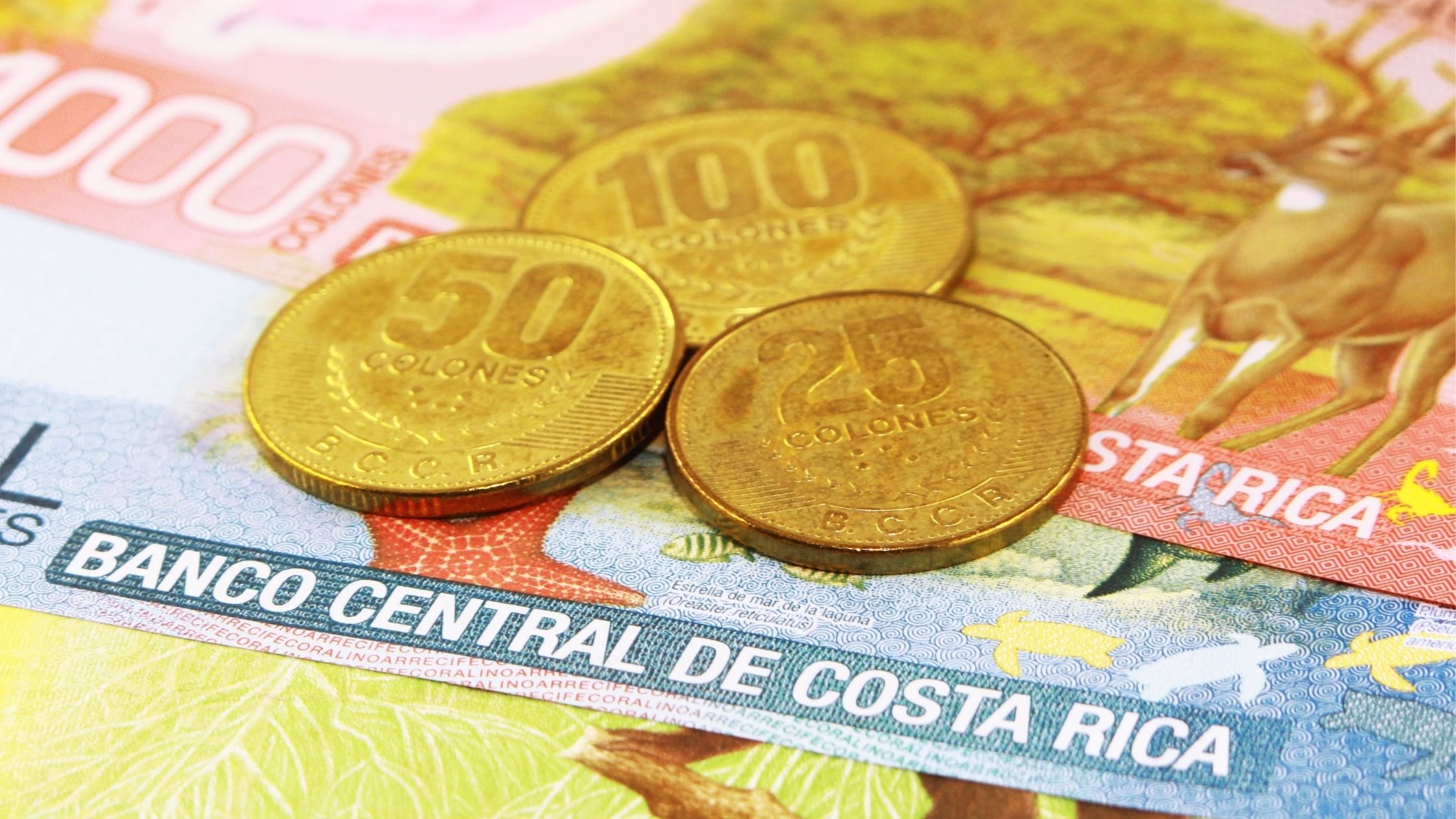 Colón, moneda oficial de Costa Rica 