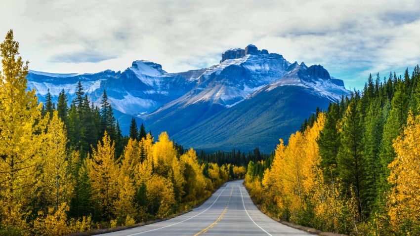 Icefield Parkway in Autumn Jasper National park, Canada