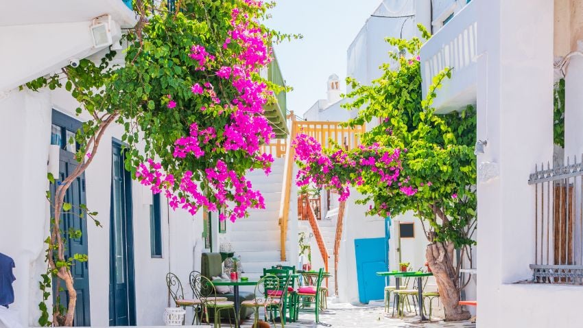 Greece's digital nomad visa provides an excellent opportunity for individuals to live abroad