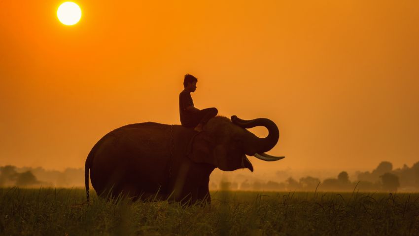 Riding an Elephant at sunset in Cambodia