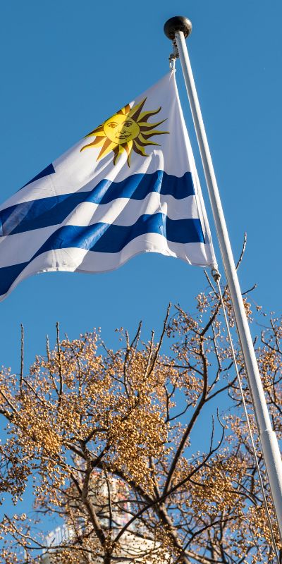 flag of uruguay on a flagpole blowing in the wind