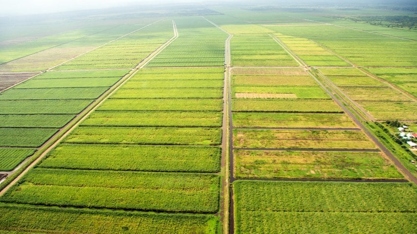Using A 401(K) To Buy Land